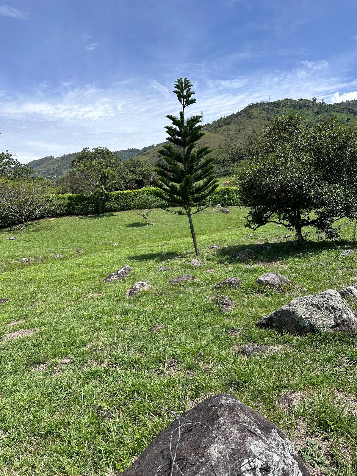 Lote en venta en Barbosa